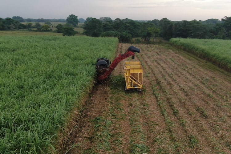 Our_Commitment_min (1).jpg