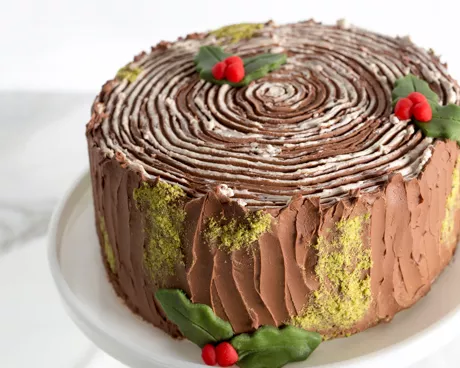 Gâteau bûche de Noël