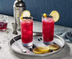 Deux verres highball de fizz au whisky aux bleuets sur glace, garnis de rondelles de citron et de brochettes de bleuets, présentés sur un plateau en argent avec un shaker à cocktails, une mesure, une cuillère à mélange, une carafe de sirop simple, et des bols de sucre brun et de bleuets.