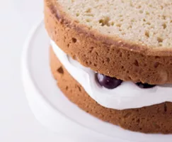 Deux couches de gâteaux avec glaçage