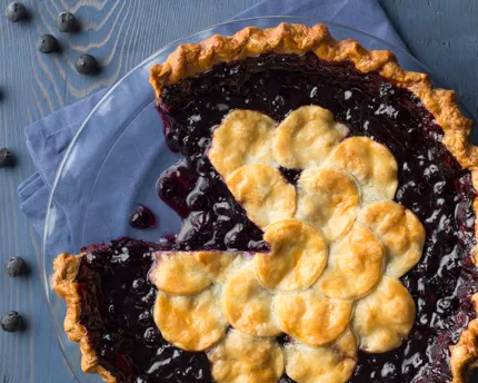  Blueberry_Pie_landscape